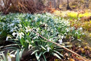 Из Стокгольма: поход по архипелагу к маяку Ландсорт