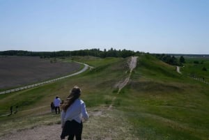 From Stockholm: Full Day Small Group Viking Culture Tour