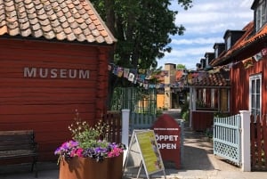 Da Stoccolma: gita giornaliera guidata alla città di Sigtuna