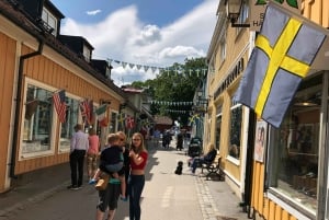 De Estocolmo: Viagem de 1 dia com guia para a cidade de Sigtuna