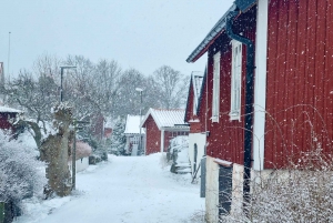 Fra Stockholm: Skjærgårdstur til Landsort fyr