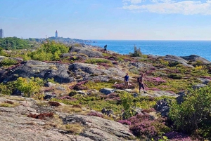 Von Stockholm aus: Wanderung durch die Schären zum Leuchtturm von Landsort