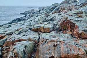From Stockholm: Archipelago hike to Landsort lighthouse