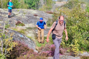 Da Stoccolma: Escursione all'arcipelago fino al faro di Landsort