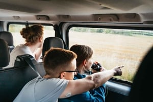 From Stockholm: Moose & Wildlife Safari with Campfire Dinner