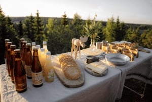 From Stockholm: Moose & Wildlife Safari with Campfire Dinner