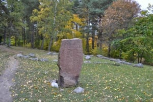 Tukholmasta: Uppsala ja Sigtuna: Uppsala ja Sigtuna Viking Sites Tour