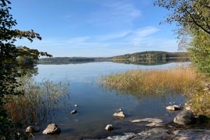 Fra Stockholm: Tur til Uppsala og Sigtunas vikingesteder