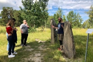 Au départ de Stockholm : Visite en petit groupe de la culture et du patrimoine vikings
