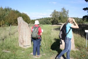 Vanuit tour met kleine groepen Vikingcultuur en erfgoed