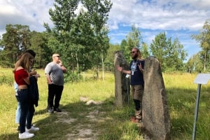 From Stockholm: Viking Culture and Heritage Small Group Tour