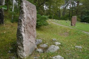 From Stockholm: Viking Culture and Heritage Small Group Tour