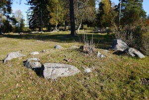 From Stockholm: Viking Culture and Heritage Small Group Tour