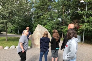 From Stockholm: Viking Culture and Heritage Small Group Tour