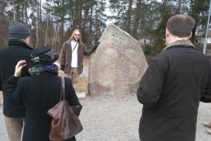 From Stockholm: Viking Culture and Heritage Small Group Tour