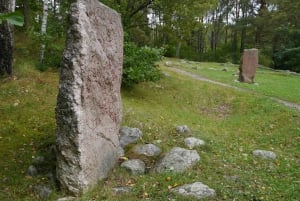 From Stockholm: Viking Culture and Heritage Small Group Tour