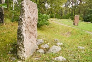 Au départ de Stockholm : Visite de l'histoire des Vikings à Sigtuna et Uppsala