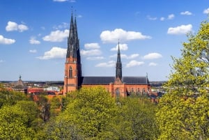 Au départ de Stockholm : Visite de l'histoire des Vikings à Sigtuna et Uppsala