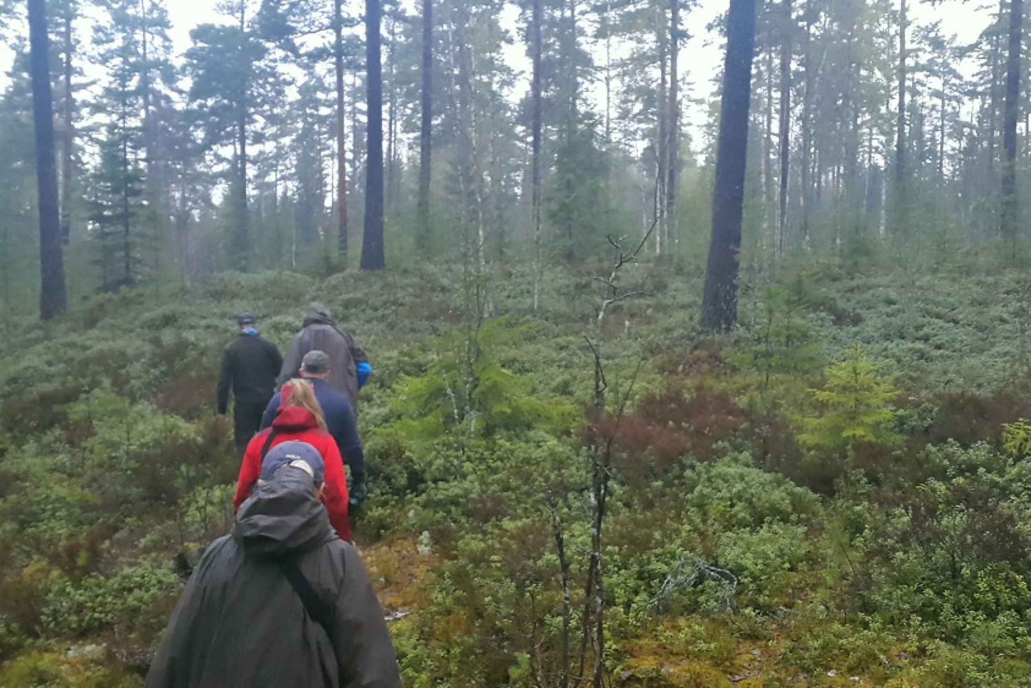 From Stockholm: Wildlife Safari with Campfire Dinner