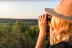 Vanuit Stockholm: wildlife-safari met diner bij kampvuur