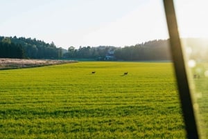 From Stockholm: Wildlife Safari with Campfire Dinner