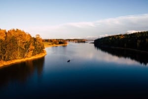 Från Vaxholm: Stockholms skärgård Big Canoe Adventure