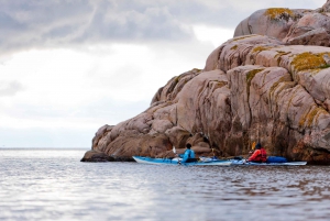 Stockholm: Full–Day Kayaking Adventure