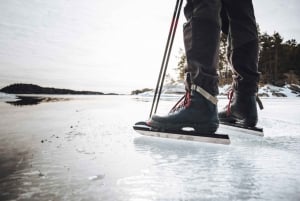Stockholm: Heldagstur med skøjteløb