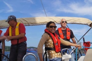 Stoccolma: tour in barca di 1 giorno nell'arcipelago