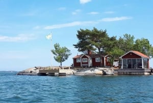 Excursão de barco de dia inteiro ao arquipélago de Estocolmo