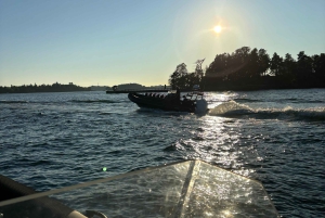 Geführte Archipelago Speedboat Touren ab Saltsjöbaden
