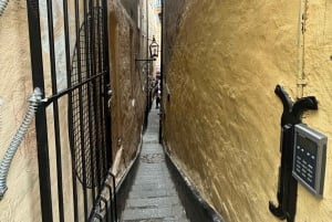 Guided Walking Tour of Stockholm's Gamla Stan