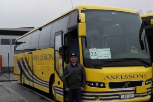 Visite culturelle d'une demi-journée à Stockholm