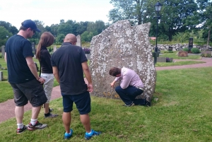 Half-Day Viking Culture Tour from Stockholm