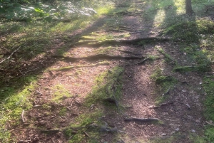 Hike, traditional food, guided wood burning outdoor sauna