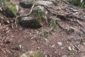 Hike, traditional food, guided wood burning outdoor sauna