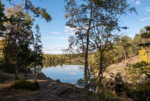 In die Wildnis – ein Sinneserlebnis in Stockholms Wäldern