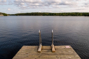 In die Wildnis – ein Sinneserlebnis in Stockholms Wäldern