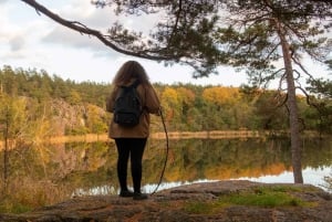 Into the wild - un'esperienza sensoriale nei boschi di Stoccolma
