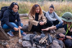 Into the wild - un'esperienza sensoriale nei boschi di Stoccolma