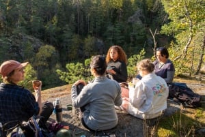 Into the wild - un'esperienza sensoriale nei boschi di Stoccolma