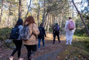 Into the wild - un'esperienza sensoriale nei boschi di Stoccolma
