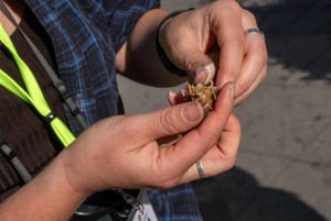 Into the wild - un'esperienza sensoriale nei boschi di Stoccolma