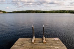 Into the wild - un'esperienza sensoriale nei boschi di Stoccolma