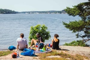 Öluffning med kajak och vild camping - Archipelago Escape