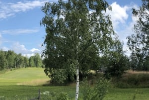 Markim-Orkesta: Historical Tour in Swedish Countryside