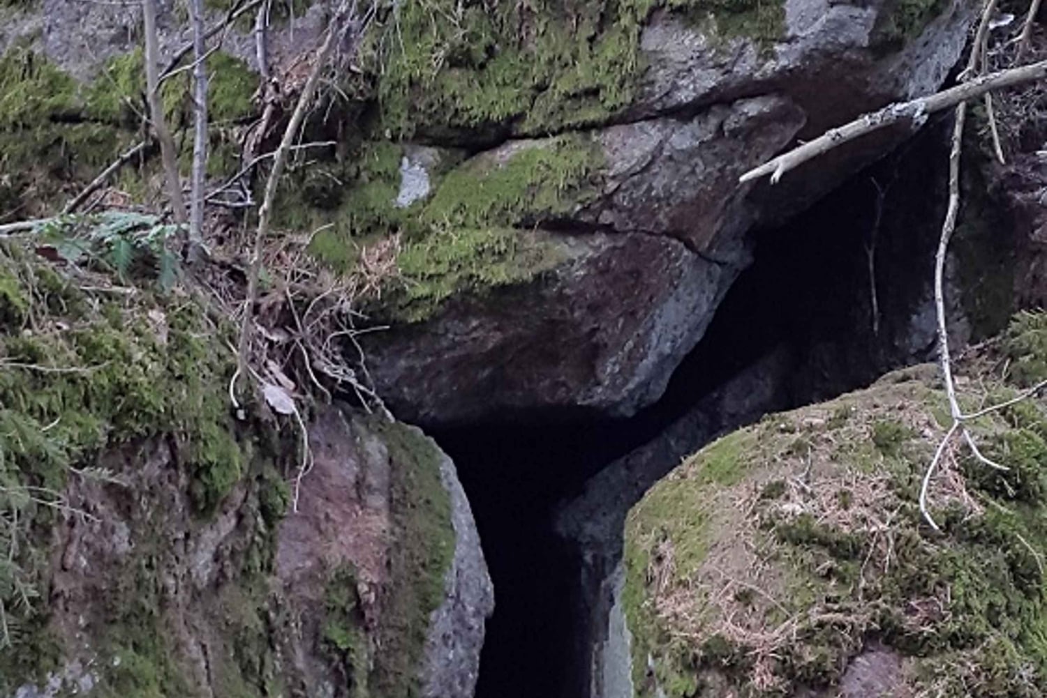 Randonnée dans la nature depuis Stockholm