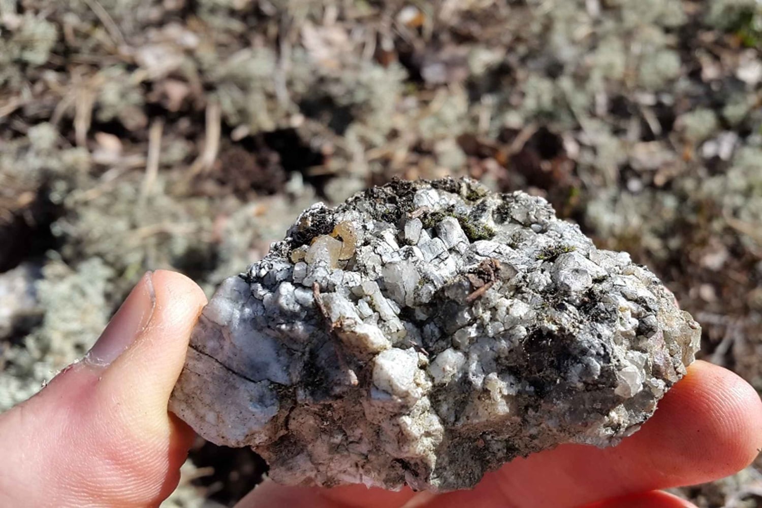 Randonnée dans la nature depuis Stockholm