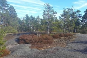 Från Stockholm: Vandring ute i naturen