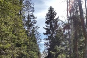 Randonnée dans la nature depuis Stockholm